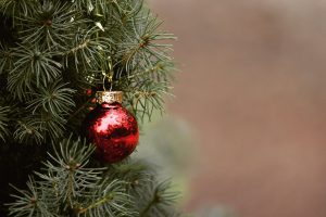 Η διαδικασία αν θέλει να πετάξει κάποιος το χριστουγεννιάτικο δέντρο είτε φυσικό είτε πλαστικό