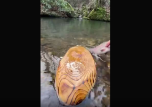 Ψάρεμα και μαγείρεμα στη φύση, vid