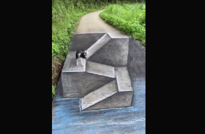 Δείτε πόσο εύκολα «παίζουν» με τις αισθήσεις μας, vid