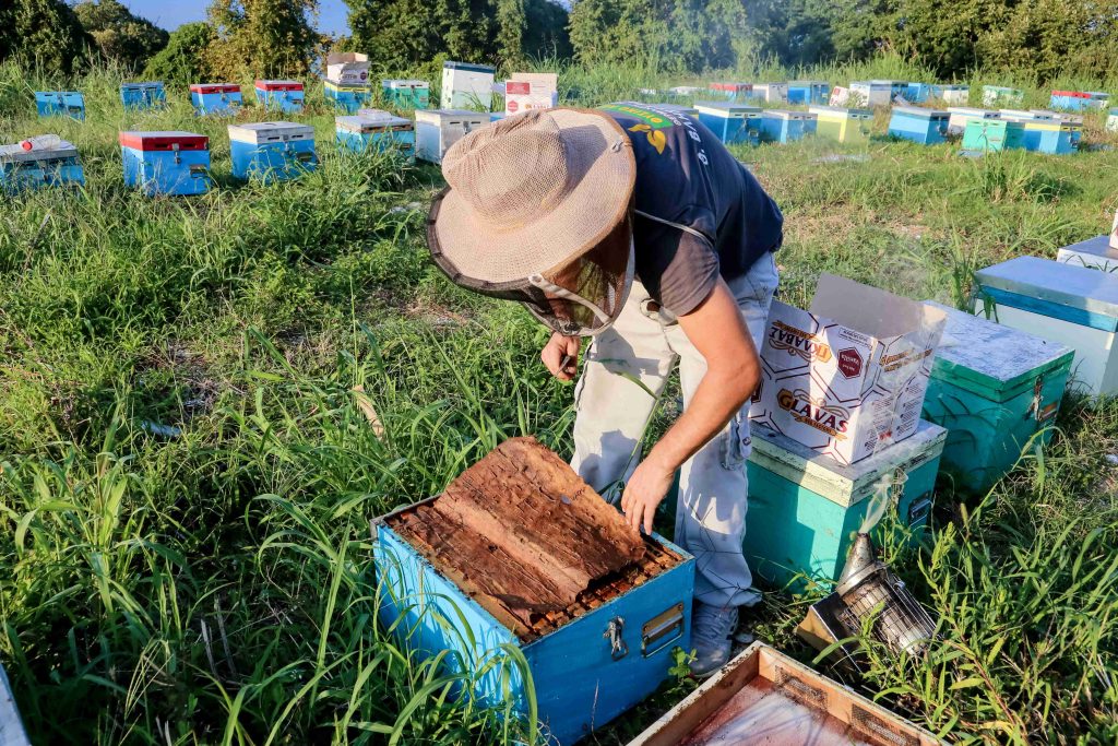 Απόβαση των μελισσοκόμων στο Σύνταγμα – Αποφάσεις θα πάρουν σήμερα οι αγρότες για το μέλλον των κινητοποιήσεών τους