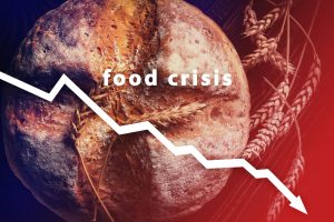 Πρώην κυβερνητικός των ΗΠΑ: Φέρνουν παγκόσμια κατάρρευση στα τρόφιμα! ΒΙΝΤΕΟ «βόμβα»