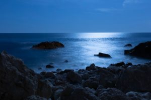 «Θορυβήθηκα»: Σπάνιο ζώο-γίγας εντοπίστηκε σε ελληνικά νερά, vid