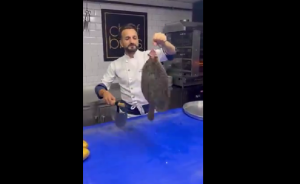 Δεν είναι εύκολο αυτό που φτιάχνει, ούτε και συνηθισμένο, vid