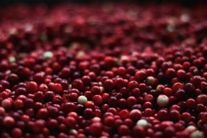 Γιατί ο χυμός cranberry μπορεί να γίνει το θαύμα που περίμενε η καρδιά σας