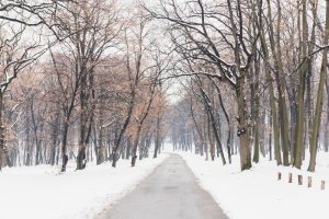 Εικόνες «σφοδρής…υπερθέρμανσης» στο Σικάγο, vid