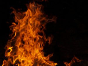 Υπό μερικό έλεγχο η πυρκαγιά σε δασική έκταση στη Λακωνία