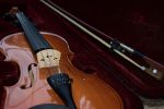 violi thiki