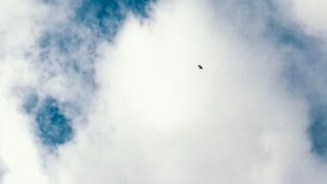 Αεροπλάνο προσκρούει σε βάρκα και βυθίζεται στο λιμάνι του Βανκούβερ