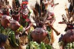 papoua