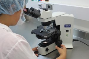 Σκλήρυνση κατά πλάκας: Φοιτητές του ΑΠΘ αναπτύσσουν νέα πρωτοποριακή θεραπεία