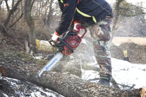 Έφτιαξε ένα μικρό ξύλινο κάθισμα σε λιγότερο από 1’στο δάσος: Δείτε πώς τα κατάφερε vid