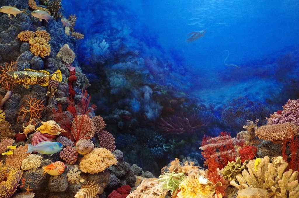 Φτιάχνουν στολές κατάδυσης για κατσαρίδες – Λένε πως είναι… προς όφελος της ανθρωπότητας (ΦΩΤΟ)