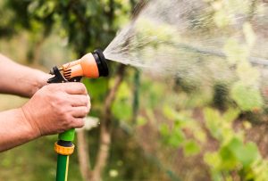 Εικόνες θλίψης από την Ουκρανία: Ερειπωμένα ατελείωτα στρέμματα καλλιεργήσιμης γης, vid