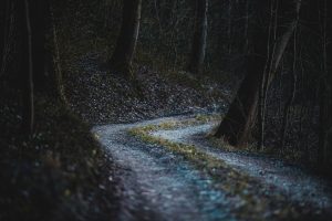 ΗΠΑ: Ισχυρίζονται ότι «άγριοι κανίβαλοι» ζουν σε εθνικό πάρκο των ΗΠΑ – 5 άνθρωποι έχουν εξαφανιστεί