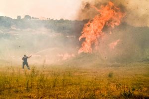 Φωτιά στον Πύργο Ηλείας: Μηνύματα από το 112 για ετοιμότητα – Πυρκαγιά σε εξέλιξη και στο Λιβάρτζι Καλαβρύτων