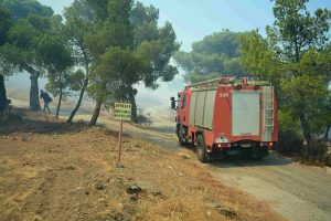 Πλάκα Κερατέας: Στις αυλές των σπιτιών η φωτιά- Νέο μήνυμα του 112 για απομάκρυνση των κατοίκων vid