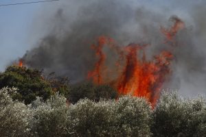 Παραλίγο τραγωδία με Canadair στην Ναυπακτία! Συγκλονιστικό ΒΙΝΤΕΟ
