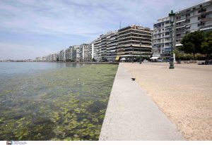 Νεαροί βούτηξαν στον Θερμαϊκό…αφήνοντας άφωνους τους Θεσσαλονικείς! vid