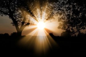 Tips για να παραμείνετε δροσεροί στον καύσωνα