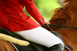 Θεσσαλονίκη: Στη φυλακή 67χρονος Γερμανός εκπαιδευτής ιππασίας – Κατηγορείται βιασμό ανήλικης μαθήτριας