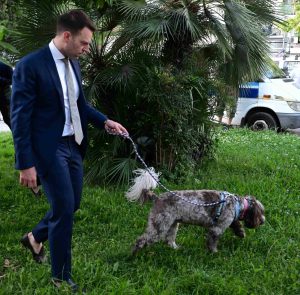 Τζίμα: Ο κ. Κασσελάκης πήγε στην Κουμουνδούρου να βγάλει το σκύλο να κάνει τα αναγκαία; Ήμαρτον vid