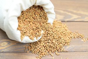 Σβάλμπαρντ: Η παγκόσμια τράπεζα σπόρων είναι μία “απαγορευμένη” περιοχή του πλανήτη