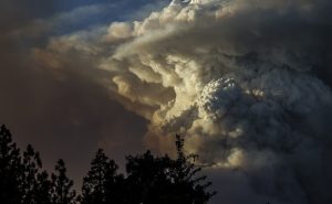 Ισπανία: Οι πυρκαγιές έκαψαν επιπλέον 300.000 στρέμματα σε ένα 24ωρο