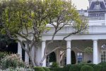 Building of White House