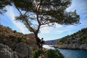 Κάμερα καταγράφει την πτώση άνδρα από ύψος 18 μέτρων όταν σπάει το κλαδί του δέντρου!