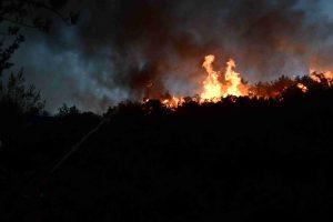 Θεσσαλονίκη: Υπό μερικό έλεγχο η φωτιά πλησίον του οικισμού «Αγία Σοφία»