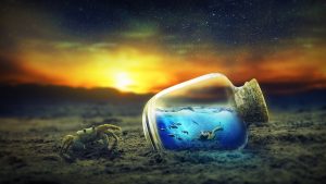 Το ιαπωνικό καβούρι – αράχνη μπορεί να φτάσει το διπλάσιο μέγεθος ενός ανθρώπου(vid)