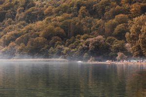 Στα… υπόγεια ενός πυκνού δάσους: Λίγοι θα το τολμούσαν, vid