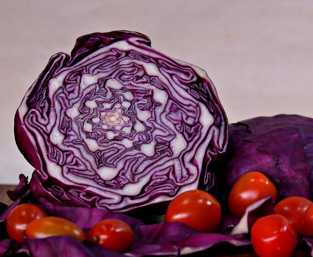 Κόκκινο ή πράσινο λάχανο; Ποιο είναι καλύτερο για την υγεία του εντέρου