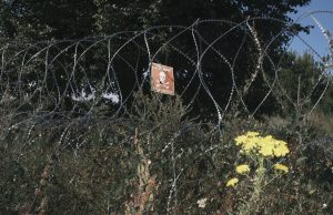 Ουκρανοί επέστρεψαν στο ρωσικό Κουρσκ για να… παραδοθούν, vid
