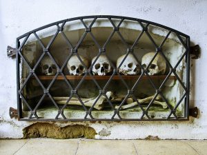 Aνδρικό κρανίο με την ελληνική επιγραφή «Προσκυνητής Δημητράκης» βρέθηκε στη Σινώπη – ΦΩΤΟ
