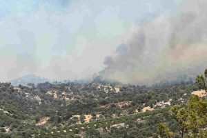Χωρίς ενεργό μέτωπο η φωτιά στο Ρέθυμνο