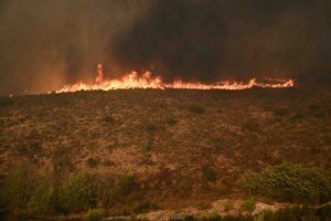Φωτιά στον Μαραθώνα Αττικής – Μήνυμα του 112 για απομάκρυνση κατοίκων από τον οικισμό Ριζάρι
