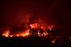 Υπό έλεγχο η πυρκαγιά στον Παλαιόκηπο της Γέρας Λέσβου