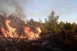 Οι περιοχές που υπάρχει πολύ υψηλός κίνδυνος πυρκαγιάς αύριο, 2 Ιουλίου – Δείτε τον χάρτη
