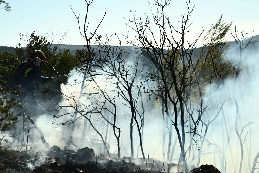 Φωτιά τώρα στην Τήνο: Επιχειρούν και δύο ελικόπτερα – Πνέουν ισχυροί άνεμοι στην περιοχή