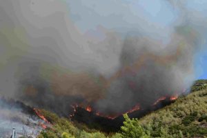 Φωτιά στα Βίλια: Καλύτερη η εικόνα της πυρκαγιάς στον Άγιο Βασίλειο