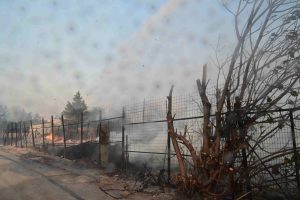 Λυγίζει μπροστά στην κάμερα κάτοικος της Πεντέλης: “Κρίμα για όλα – Δεν υπάρχει τίποτα” vid