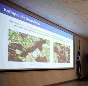 Φωτιές στην Αττική: Τελικά βοήθησε ο καθαρισμός οικοπέδων; Τι δείχνει η ανάλυση των δεδομένων