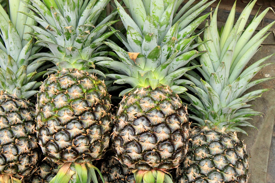 pineapple-2901430_960_720