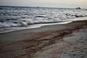 Σερβία: Διέρρευσαν 82.000 λίτρα πετρελαίου στον Δούναβη