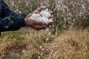 Ηράκλειο: Ισχυρή χαλαζόπτωση προκάλεσε καταστροφές σε καλλιέργειες