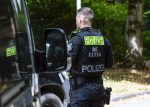 Police hunt for escaped lion in the south of Berlin