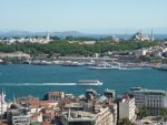turkey-2809892_1280