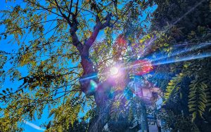 «Φασισμός στα τρόφιμα»! Μετά τις εκλογές έρχεται και στην Ελλάδα;;; ΒΙΝΤΕΟ