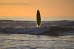surfing-1171077_960_720
